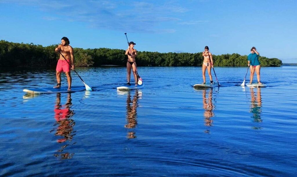 Meilleures balades en paddle mangrove de Guadeloupe