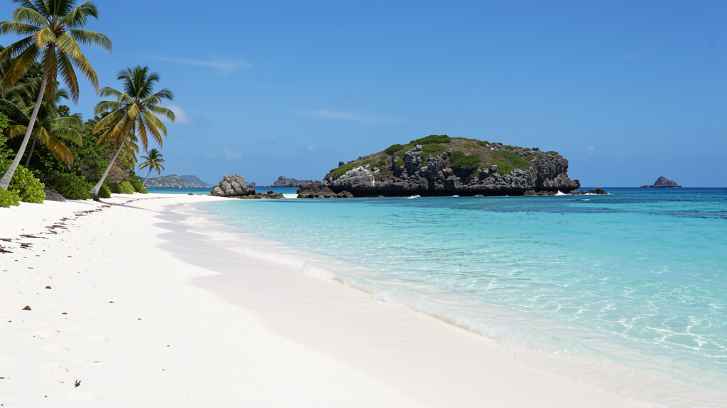 guadeloupe-Plage-des-Raisins-Clairs-Saint-François